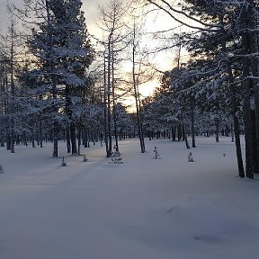 Фотография от Ирина Усова - Симоненко