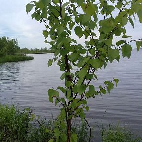 Фотография от Айшабике Базарбаева (Тулемисова)