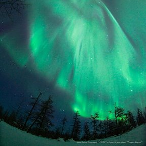 Фотография от Марина Александровна