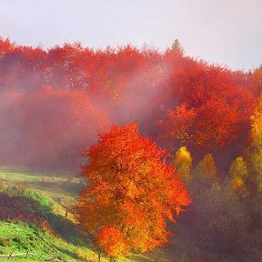 Фотография от Лида Шамарданова