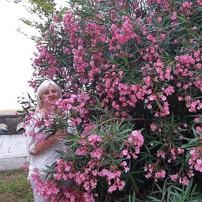 Фотография от Ольга Степанчук (Ларионова)