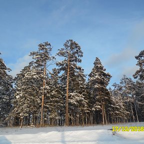 Фотография от Владимир Белкин