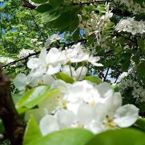 Фотография от Марина Ларина (Бочарова)