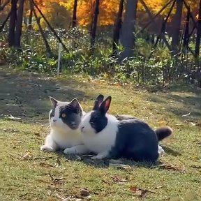 Фотография от Валерий Кочергин