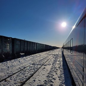 Фотография от Елизавета Бочкарева