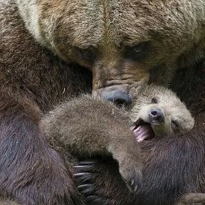 Фотография от Идущий только вперед