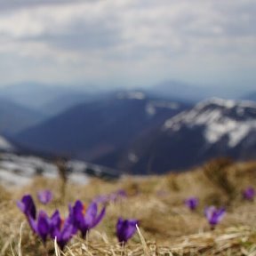 Фотография от Раиса Ланцева