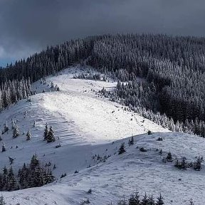 Фотография от Впсилий Василий