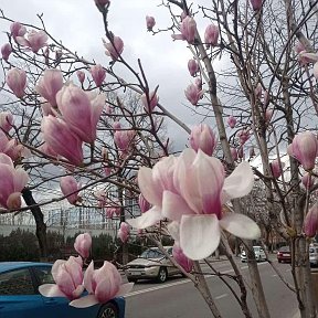 Фотография от НАТАЛЬЯ КУЗНЕЦОВА ( САПРОНОВА )