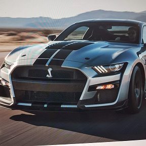 Фотография от Mustang Mustang