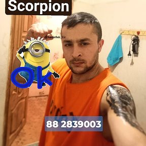 Фотография от scorpion scorpion