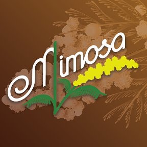 Фотография от Mimosa Bar de Tapas
