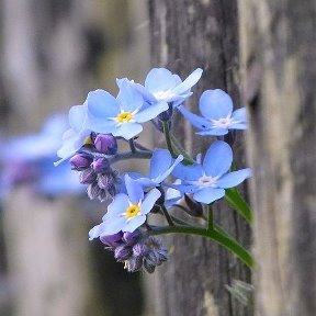 Фотография от Серафима Васина