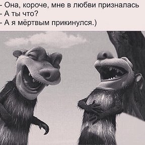 Фотография от - 🐻