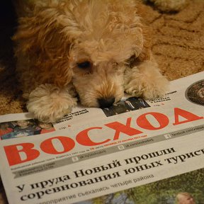 Фотография от Админ Восхода Воробьевская газета