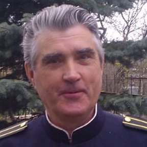 Anatoly Kirpichnikov - Wikipedia