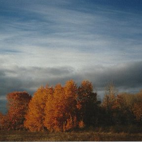 Фотография от иван цюра