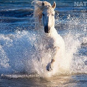 Фотография от Дамира Сираева