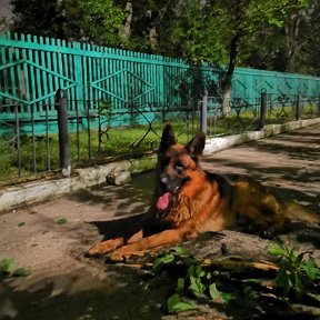 Фотография от Алексей Михайлов