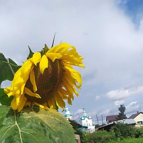 Фотография от Людмила Золотарева (Шатрилова)