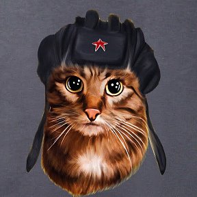 Фотография от ✯☭Даниил Котов☭✯