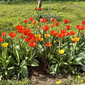 Фотография от Ольга Васильева