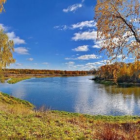 Фотография "Белоруссия, Могилёвская обл., Бобруйский район. Старица р. Березины."