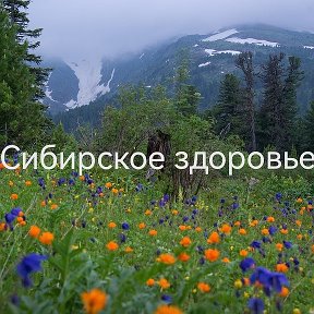 Фотография от Сибирское Здоровье