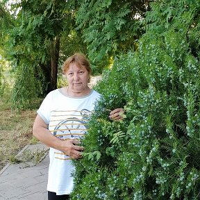 Фотография от Галина Алексеевна