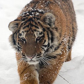 Фотография от Сергей Кацер