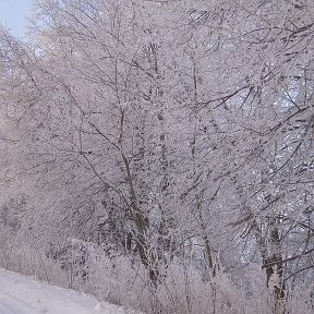 Фотография от Валентина (Федоренко)