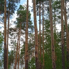 Фотография от Наталья Михайлова(Семёнова)