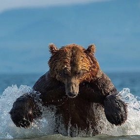 Фотография от Анатолий Зверев