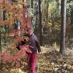 Фотография "Как хорошо в бору в любое время года! "