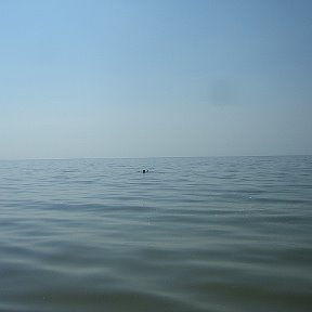 Фотография "BALTIC SEA : idu priamym kursom za kordon"