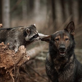 Фотография от Евгений Мякишев