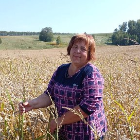 Фотография "Алтаиские поля ! "