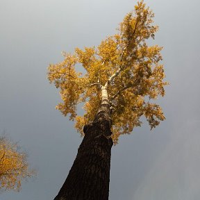 Фотография от Наталья Потехина