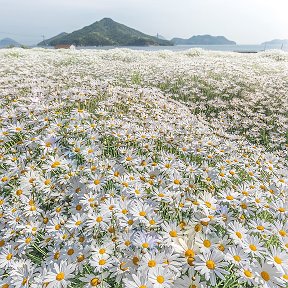 Фотография от Гузель Мусина