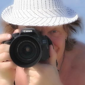 Фотография "🌊 Персидский залив 🌴 На пляже Golden Beach Motel в городе Шарджа 🌐 Эмират Шарджа
🌍 Объединённые Арабские Эмираты
🕙 16 Декабря 2015
📸 фотограф ©Мошарин Александр
📷 Canon IXUS 155 
🔆 Canon Zoom Lens 10×15 4.3-43.0 mm."