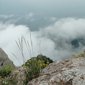 Фотография от Алексей Куприянов