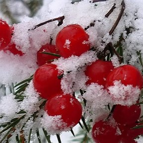 Фотография от Светлана Мутова