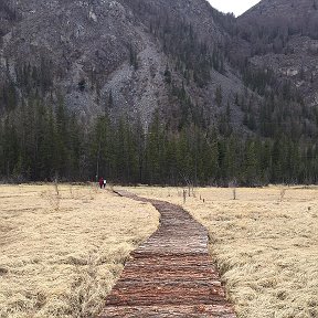 Фотография от ольга илларионова