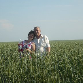 Фотография "п. Рыспай вот такая у нас пшеница"
