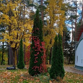 Фотография от Татьяна Коротаева (Ворончихина)