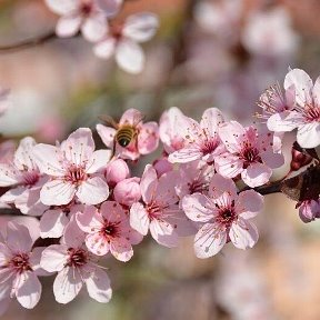 Фотография от Анжелика Скорик (Приймак)