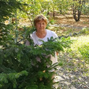 Фотография от Надежда Шатохина