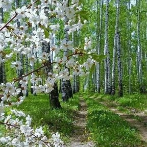 Фотография от Алла Александровна