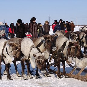 Фотография от Надюша Петрова