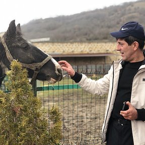 Фотография "Познакомился в крымских горах с конём по кличке «Вегас»."